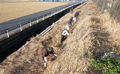 横島干拓旧堤防の清掃ボランティアの様子